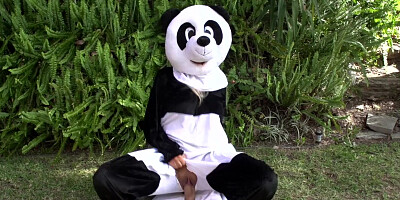 Gorgeous couple put on panda costumes for their kinky fuck session